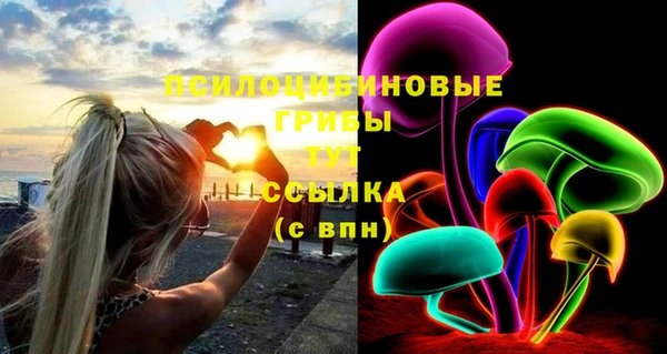 синтетический гашиш Медвежьегорск