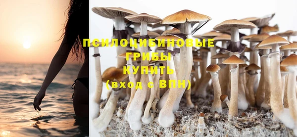 кокаин премиум Медногорск