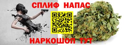 твердый Гай