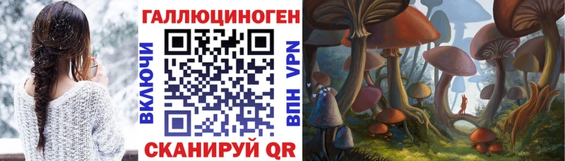 Псилоцибиновые грибы GOLDEN TEACHER  где купить   Копейск 