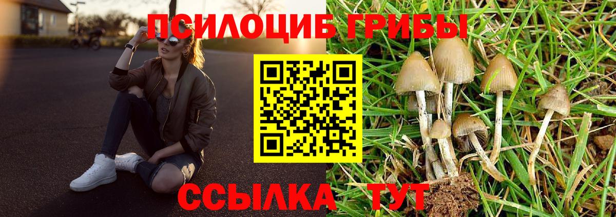 Галлюциногенные грибы прущие грибы Копейск