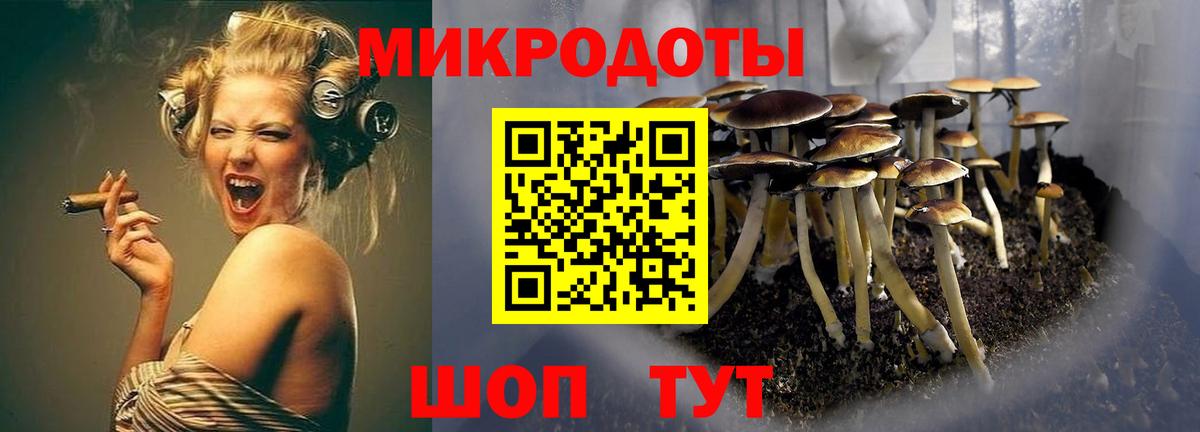 Псилоцибиновые грибы прущие грибы  Галлюциногенные грибы Cubensis  Копейск  Вход с VPN 